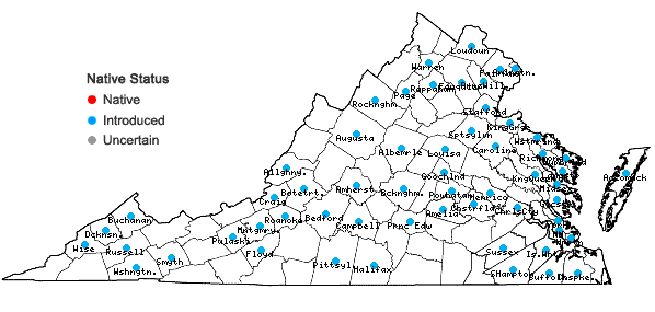 Locations ofReynoutria japonica Houttuyn var. japonica in Virginia