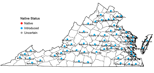 Locations ofReynoutria japonica Houttuyn var. japonica in Virginia