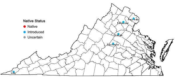 Locations ofRhamphospermum arvense (L.) Al-Shehbaz in Virginia