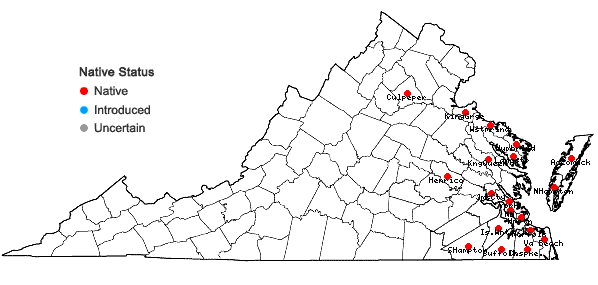 Locations ofRhus copallinum L. var. copallinum in Virginia