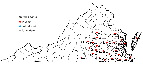 Locations ofRhynchospora globularis (Chapman) Small in Virginia