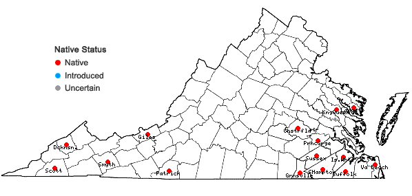 Locations ofRiccardia palmata (Hedw.) Carruth. in Virginia