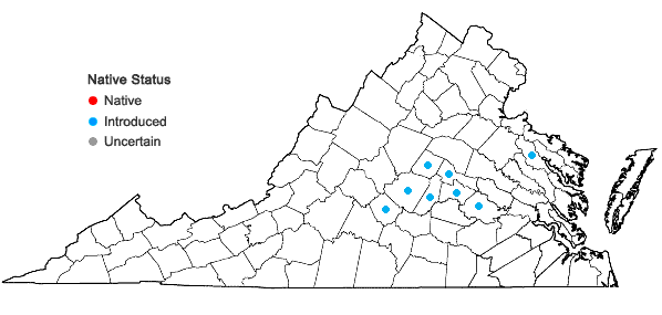 Locations ofRorippa indica (L.) Hiern. in Virginia