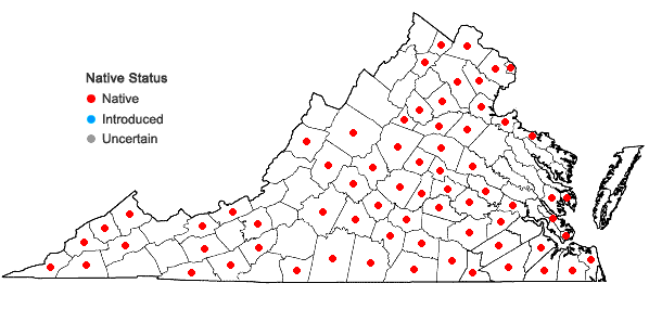 Locations ofRorippa palustris (L.) Besser ssp. palustris in Virginia