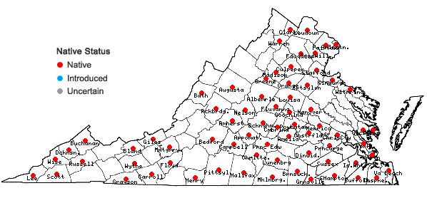 Locations ofRorippa palustris  (L.) Besser ssp. palustris in Virginia