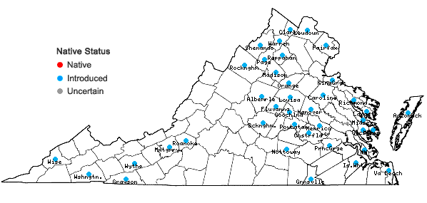 Locations ofRosa luciae Franchet & Rochebrune ex Crepin in Virginia