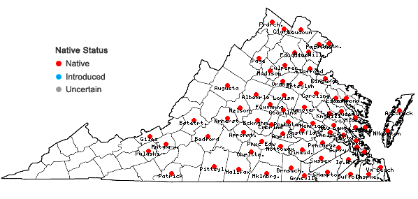 Locations ofRotala ramosior (L.) Koehne in Virginia