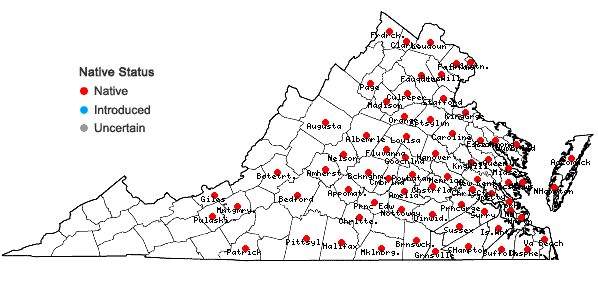 Locations ofRotala ramosior (L.) Koehne in Virginia