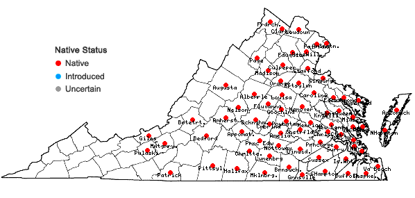 Locations ofRotala ramosior (L.) Koehne in Virginia