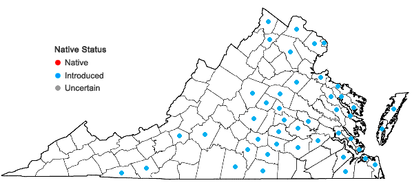 Locations ofRubus bifrons Vest in Virginia