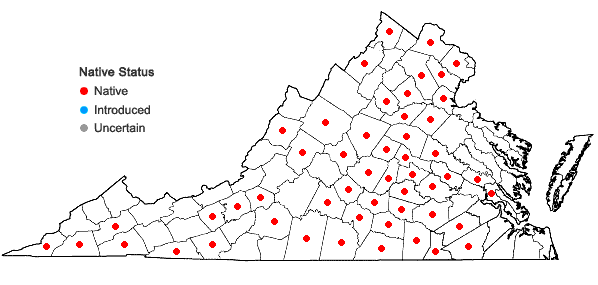 Locations ofRudbeckia fulgida Ait. var. fulgida in Virginia