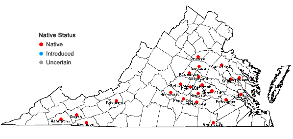 Locations ofRudbeckia laciniata L. var. digitata (Mill.) Fiori in Virginia