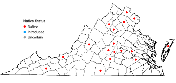Locations ofRudbeckia laciniata L. var. laciniata in Virginia