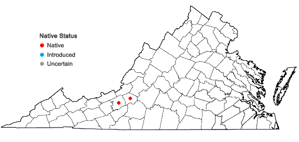 Locations ofSabulina paludicola (Fern. & B.G. Schub.) E.E. Schilling in Virginia