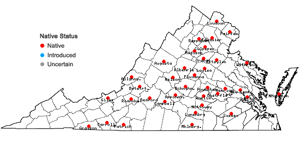 Locations ofSagittaria latifolia Willd. var. pubescens (Muhl. ex Nutt.) J.G. Smith in Virginia