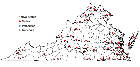 Locations ofSalix caroliniana Michx. in Virginia