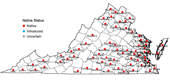Locations ofSamolus parviflorus Raf. in Virginia