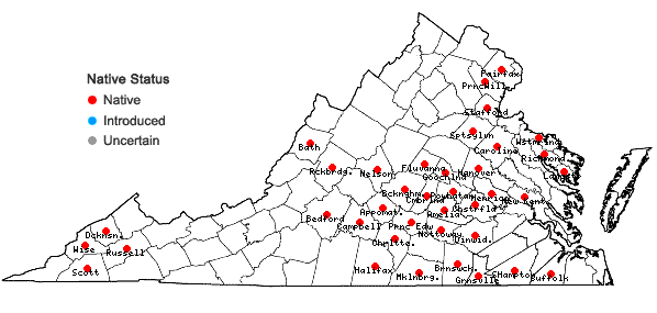Locations ofSanicula smallii Bickn. in Virginia