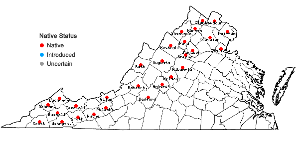 Locations ofSanicula trifoliata Bickn. in Virginia
