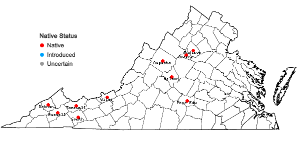 Locations ofSchistidium agassizii Sull. & Lesq. in Virginia