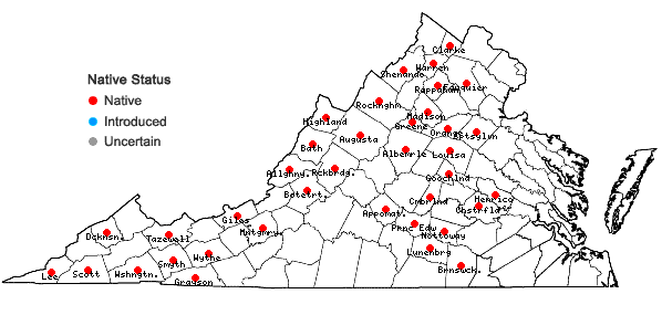 Locations ofSchistidium apocarpum (Hedw.) Bruch & Schimp. in Virginia