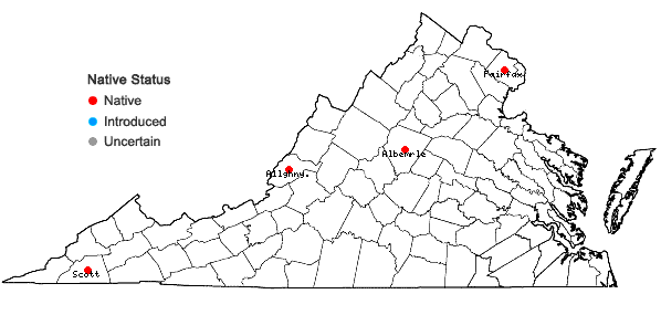 Locations ofSchistidium crassithecium H. H. Blom ex B. H. Allen in Virginia