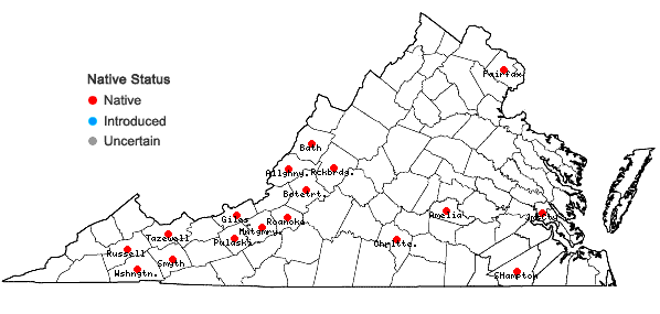 Locations ofSchistidium viride H. H. Blom & C. Darigo in Virginia