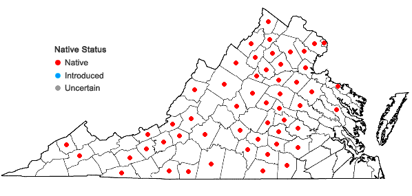Locations ofSchoenoplectiella purshiana (Fernald) K. Lye var. purshiana in Virginia