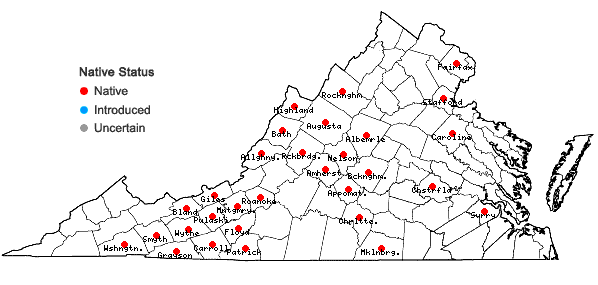 Locations ofScirpus expansus Fernald in Virginia
