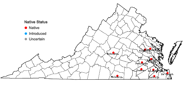 Locations ofScleria nitida Willd. in Virginia