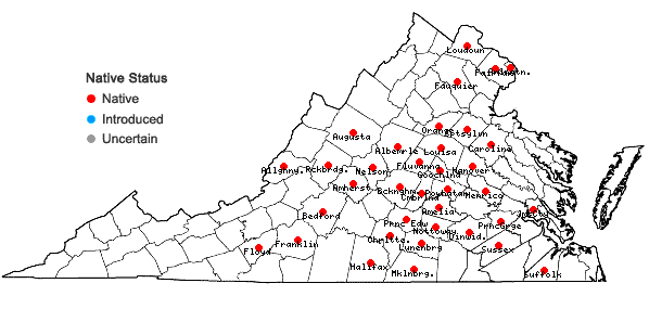 Locations ofScleria pauciflora Muhl. ex Willd. var. pauciflora in Virginia