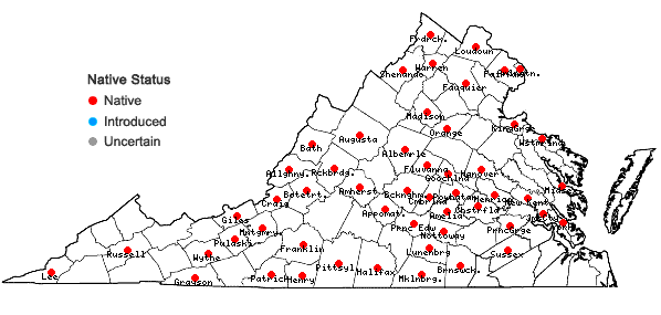 Locations ofScutellaria elliptica Muhl. ex Spreng. var. elliptica in Virginia