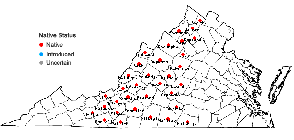 Locations ofSedum glaucophyllum Clausen in Virginia