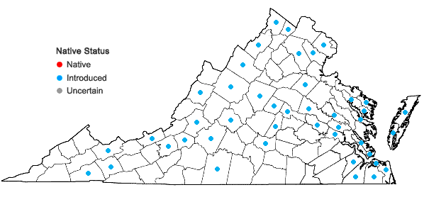 Locations ofSenecio vulgaris L. in Virginia