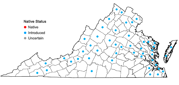 Locations ofSenecio vulgaris L. in Virginia