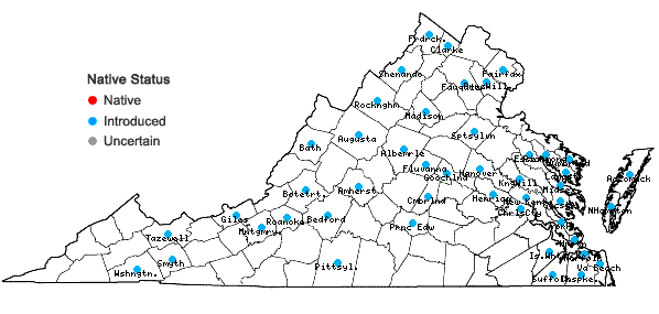 Locations ofSenecio vulgaris L. in Virginia