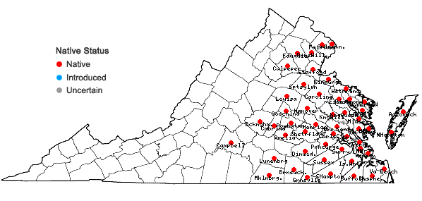 Locations ofSenega mariana (P. Mill.) J.F.B. Pastore & J.R. Abbott in Virginia