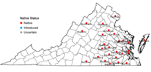 Locations ofSenega nuttallii (Torr. & A. Gray) J.F.B. Pastore & J.R. Abbott in Virginia