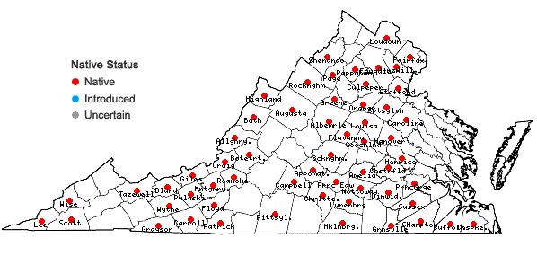 Locations ofSenega sanguinea (L.) J.F.B. Pastore & J.R. Abbott in Virginia