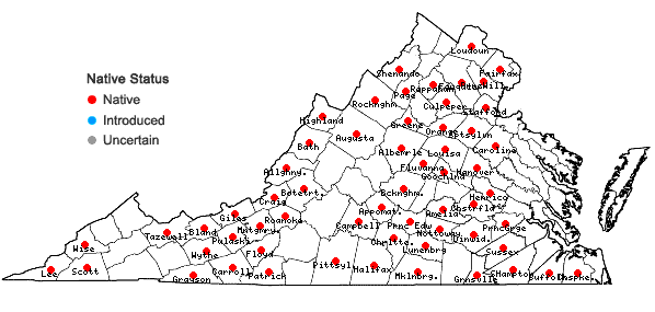 Locations ofSenega sanguinea (L.) J.F.B. Pastore & J.R. Abbott in Virginia