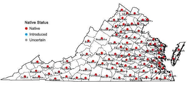 Locations ofSetaria parviflora (Poir.) Kerguelen in Virginia