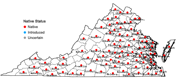 Locations ofSetaria parviflora (Poir.) Kerguelen in Virginia