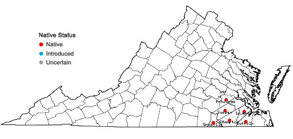 Locations ofSeymeria cassioides (J.F. Gmel.) Blake in Virginia