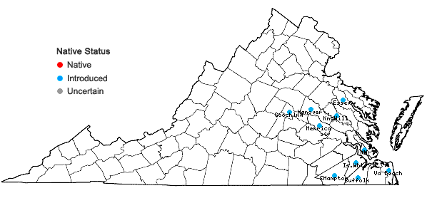 Locations ofSida rhombifolia L. var. rhombifolia in Virginia