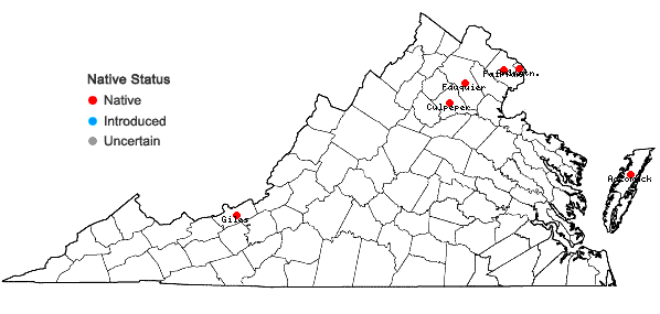 Locations ofSilene nivea (Nutt.) Muhl. ex Otth in Virginia