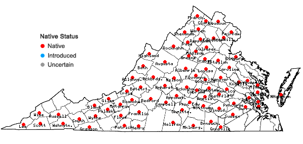Locations ofSmilax hispida Raf. in Virginia