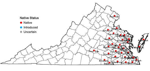 Locations ofSmilax walteri Pursh in Virginia