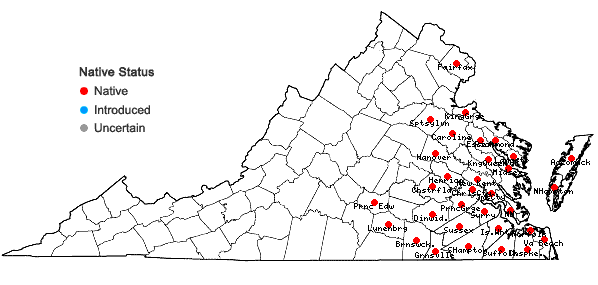 Locations ofSmilax walteri Pursh in Virginia
