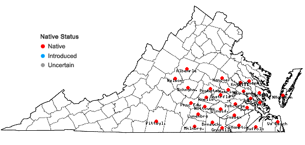 Locations ofSorghastrum elliottii (C. Mohr) Nash in Virginia