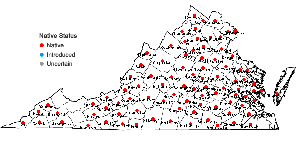 Locations ofSorghastrum nutans (L.) Nash in Virginia
